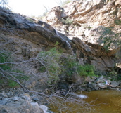 pan2