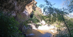 pan4