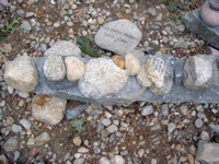 DSC00816.JPG