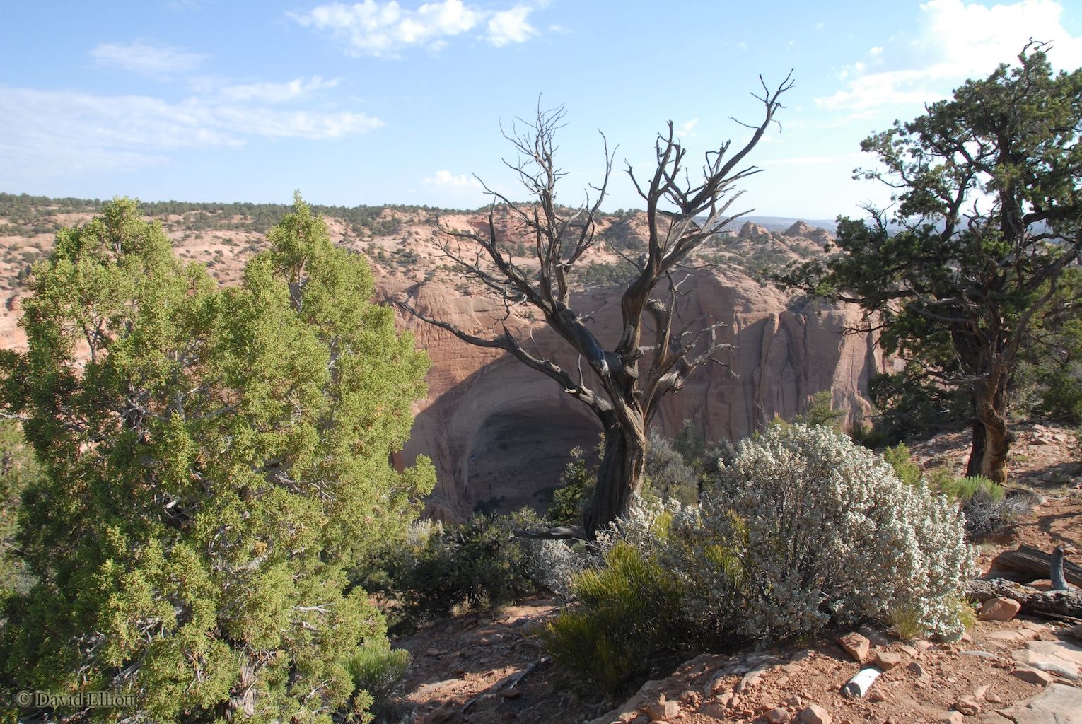 View of Betatakin/Talastima in Navajo National Monument