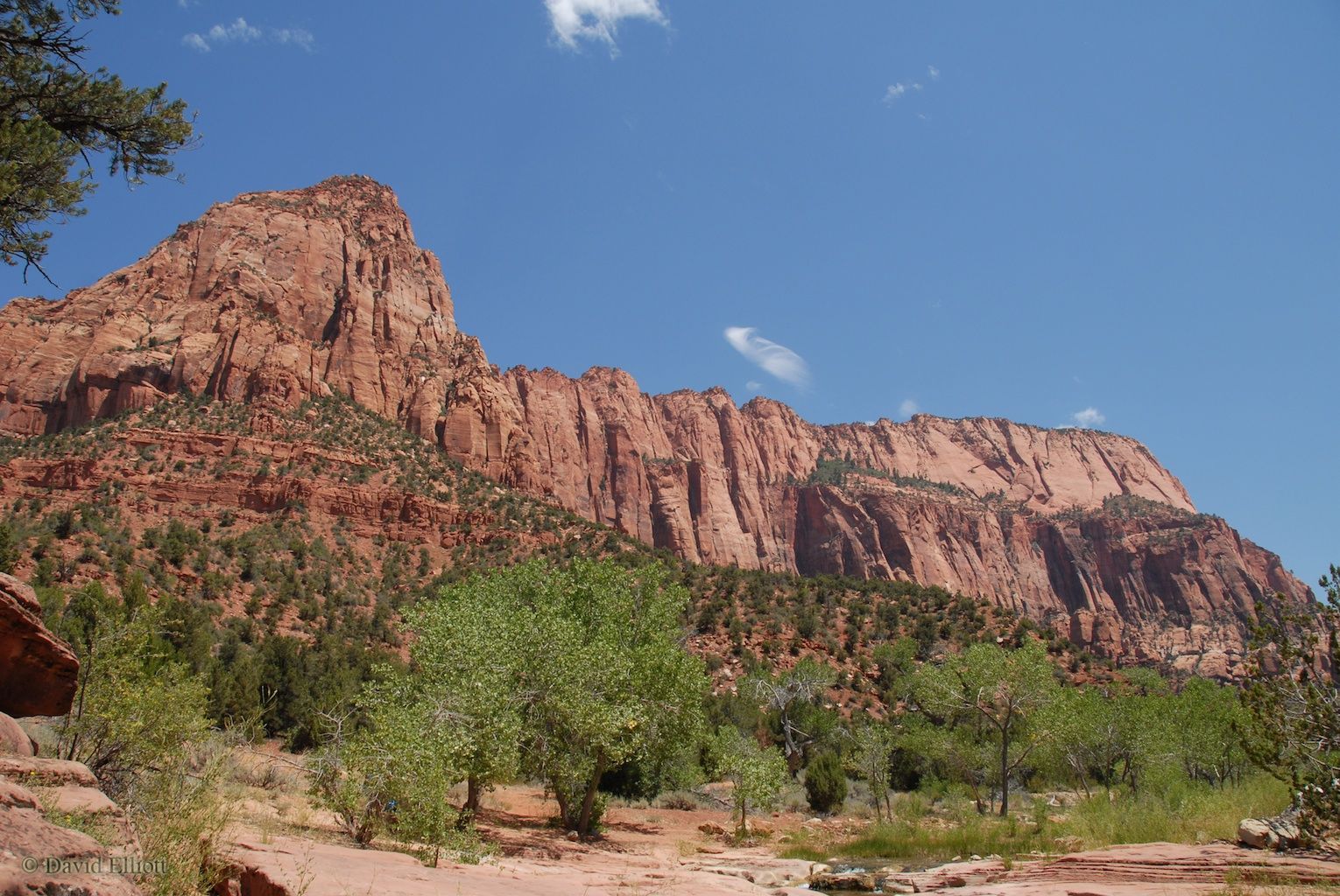 Kolob Canyons vista