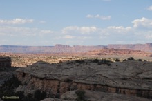 Canyonlands National Park vista