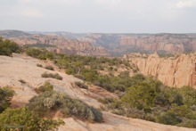 View into Tsegi Canyon as we entered Navajo National Monument