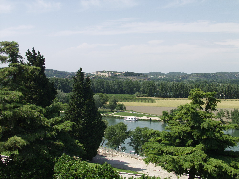 Rhone from Avignon
