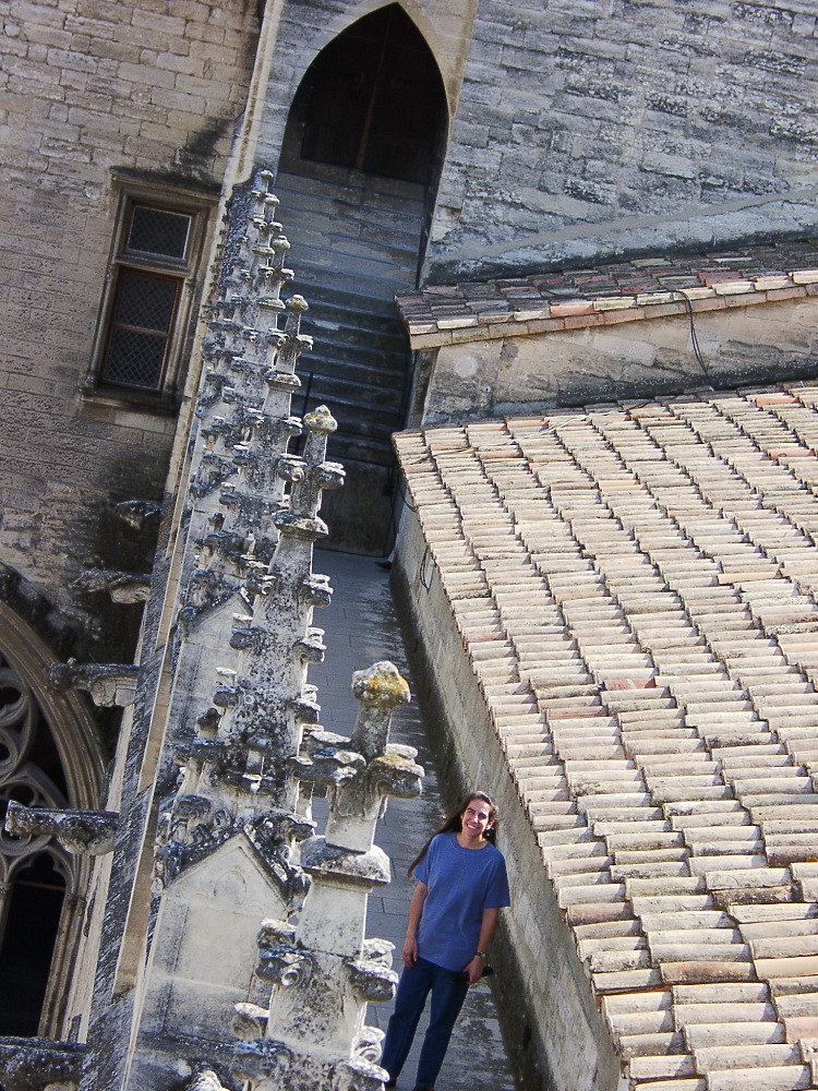Palace walls