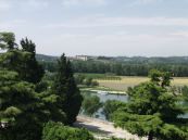 Rhone from Avignon