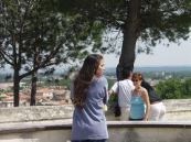 Avignon