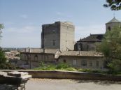 Avignon
