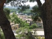 Avignon
