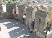 Papal palace
