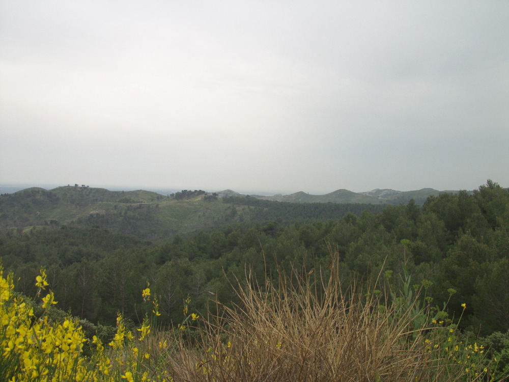 La Caume