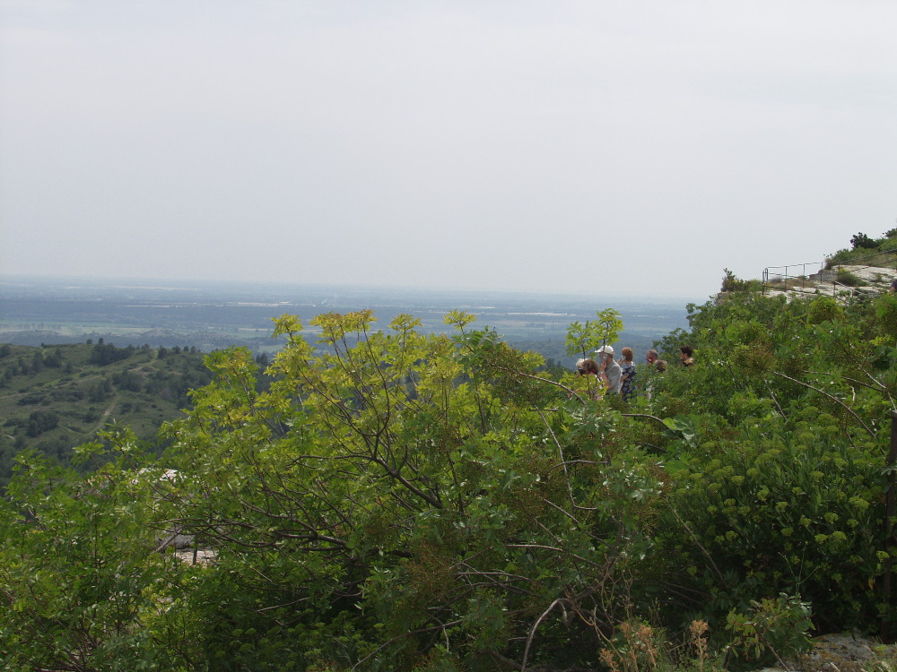 the view