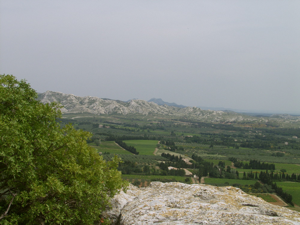 The view