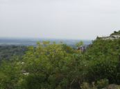 the view