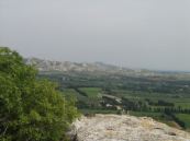 The view