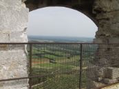 the olives of Les Baux