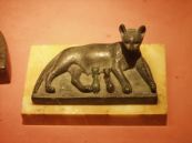A Cat
