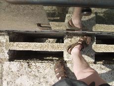 My foot