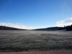 meadow by Kaibab Lodge