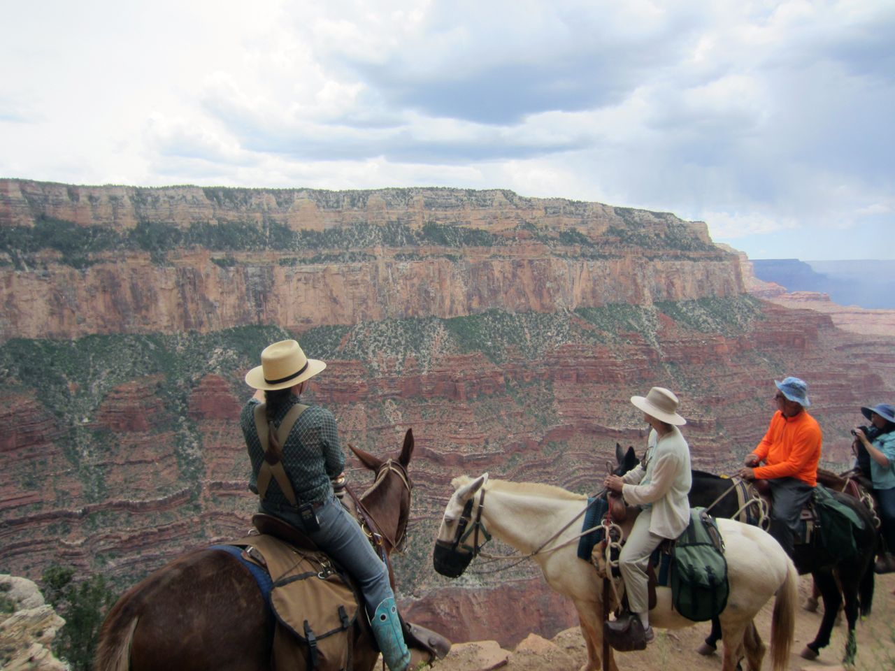 mule pack learning about rock shapes