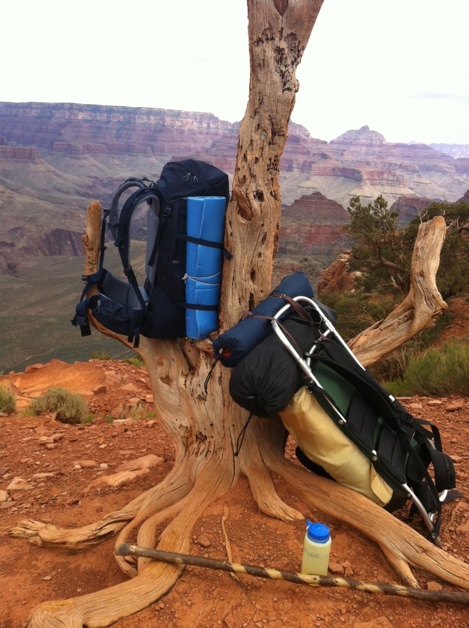 our packs resting on a tree