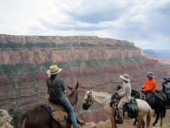 mule pack learning about rock shapes