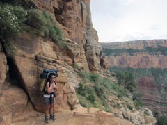 Stacy watching mules
