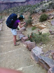 Juliana catching up with cactus pt 2