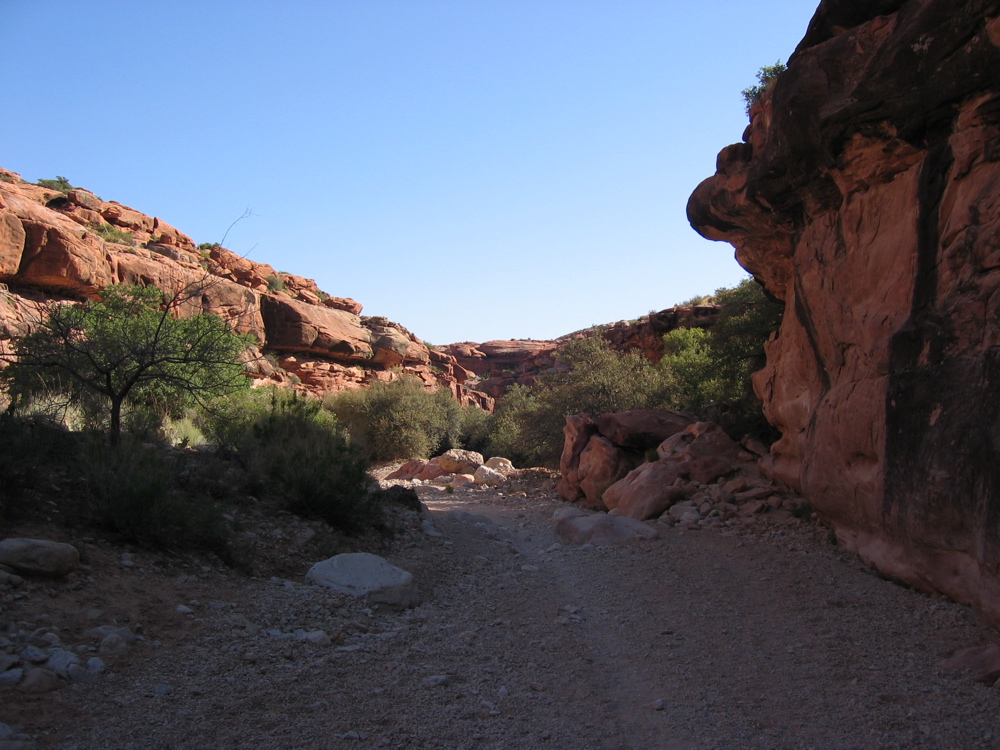 IMG_6715.JPG