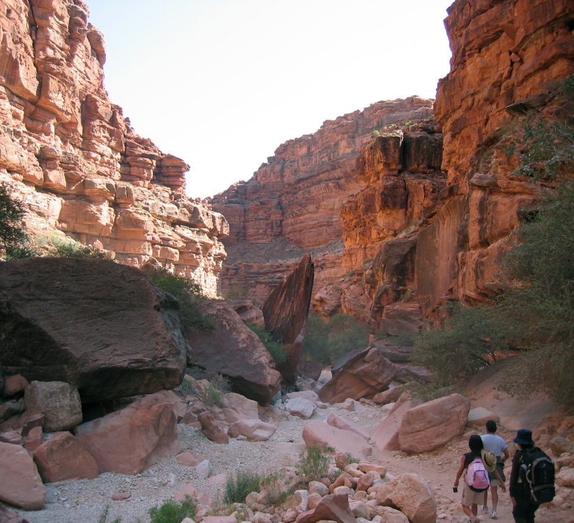 havasu pan 3