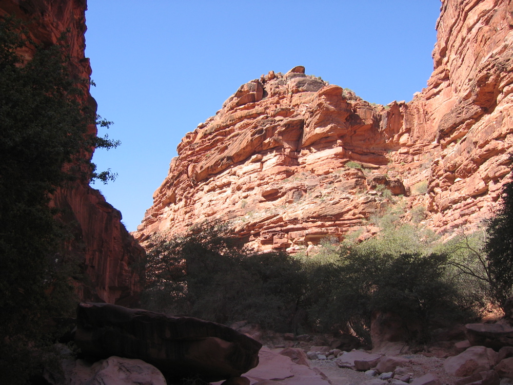 IMG_6723.JPG