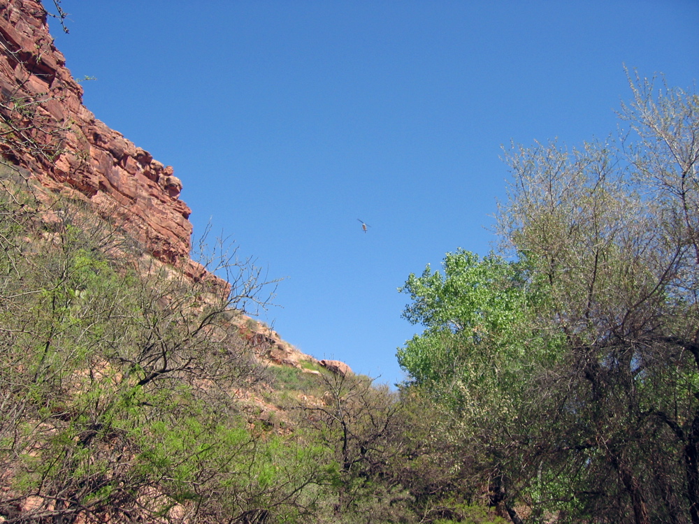 IMG_6742.JPG