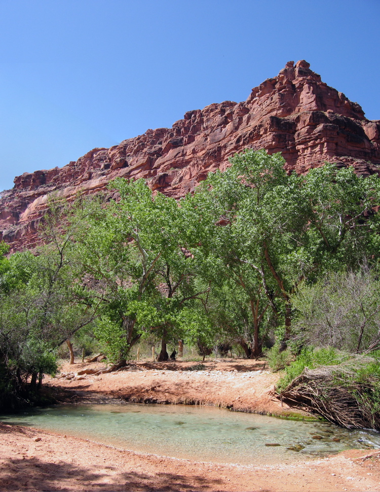 havasu pan 7
