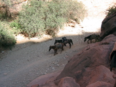 IMG_6718.JPG