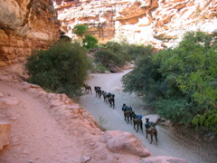 IMG_6719.JPG