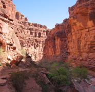 havasu pan 5