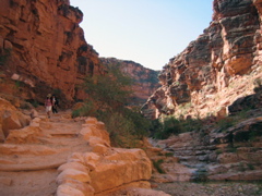IMG_6733.JPG