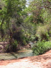 IMG_6741.JPG
