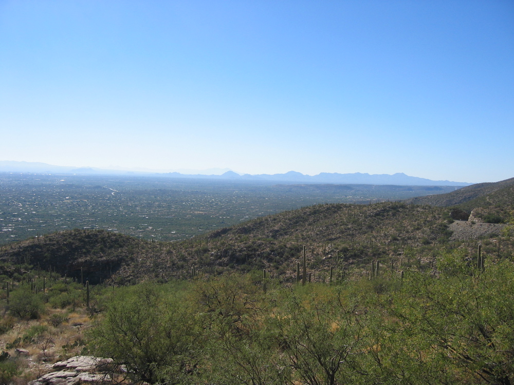 IMG_6480.JPG