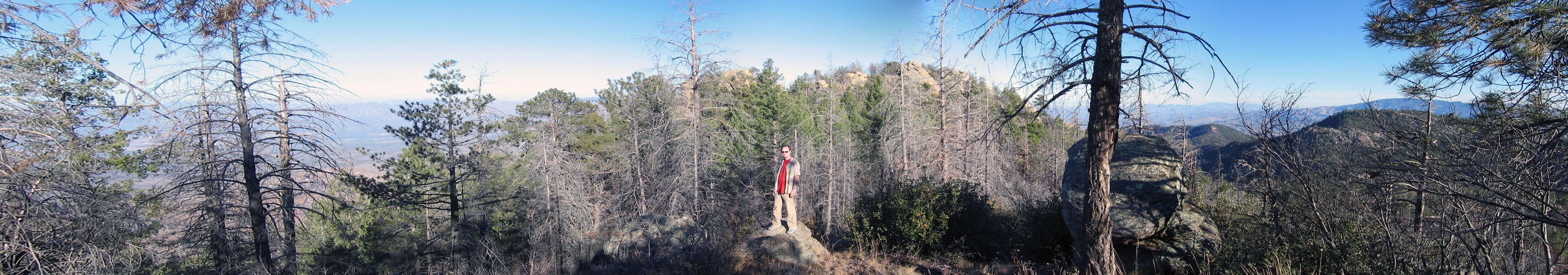 don Woods pan