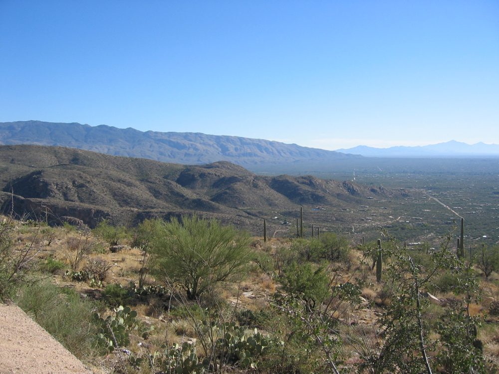 IMG_6481.JPG