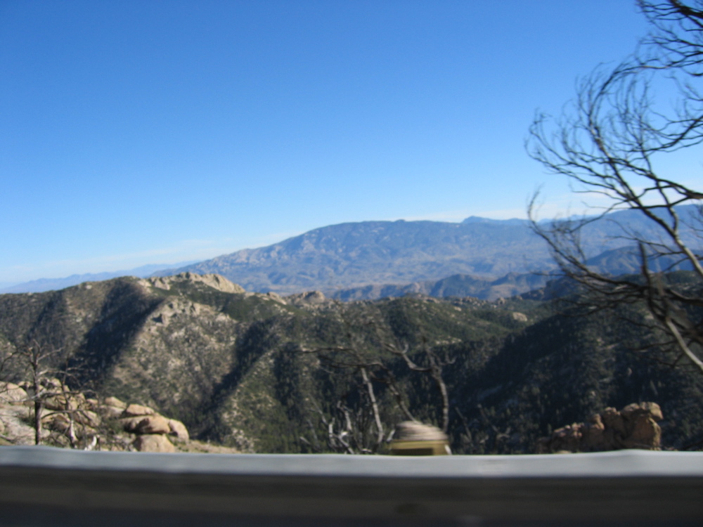 IMG_6485.JPG