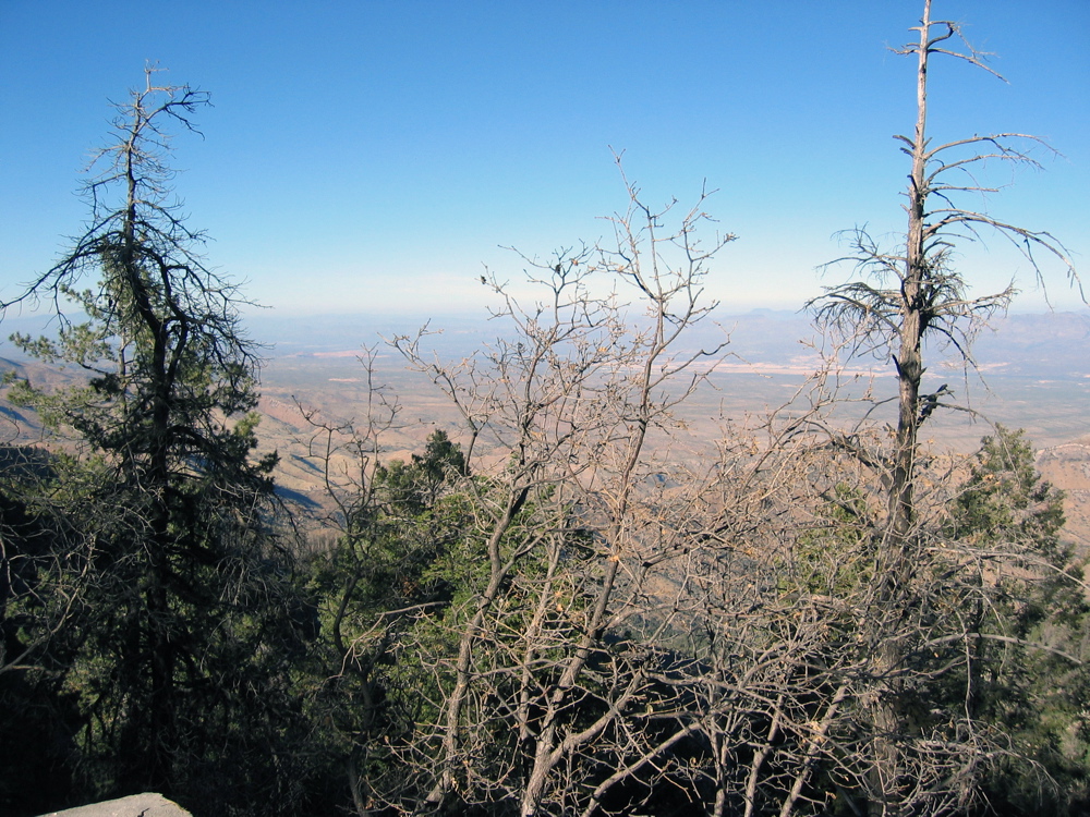IMG_6487.JPG