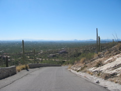 IMG_6479.JPG