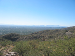IMG_6480.JPG