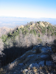 IMG_6491.JPG