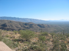 IMG_6481.JPG