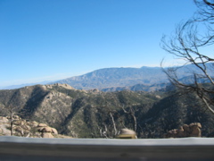 IMG_6485.JPG
