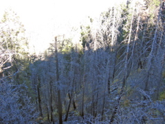 IMG_6486.JPG