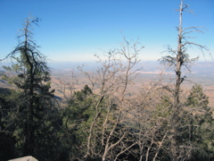 IMG_6487.JPG